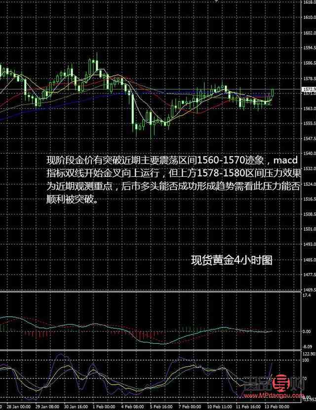 今日黄金交易所金价动态，市场波动与投资策略分析