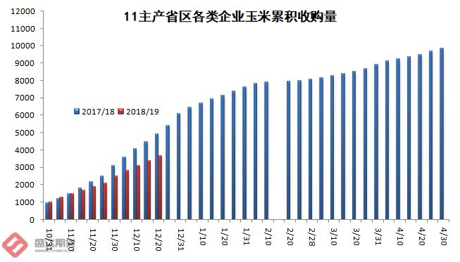 今日玉米价格，市场动态与影响因素深度剖析