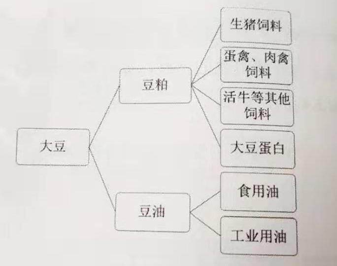 豆油期货行情深度分析，市场动态、影响因素与未来展望