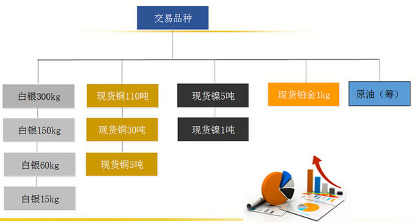 国内贵金属交易平台概览，选择与比较