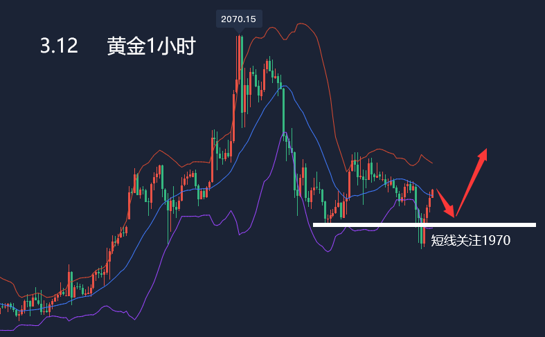 黄金现货行情走势，金投网深度解析与投资策略