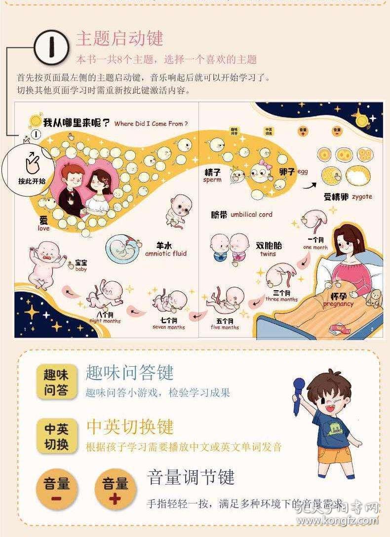 探索3D历史开奖号码的奥秘，彩宝贝中的数字之旅