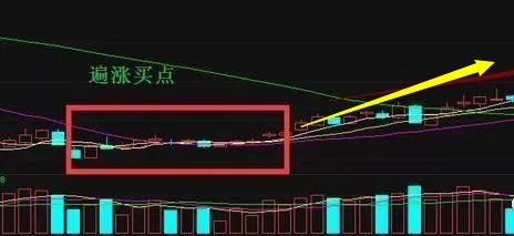 3D试机号，今日绕胆图一解析与策略分享