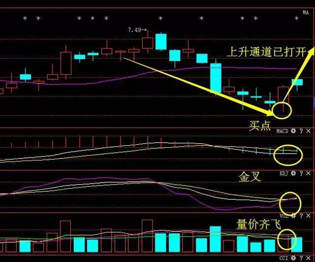 排走势图带连线，专业版解读市场脉动