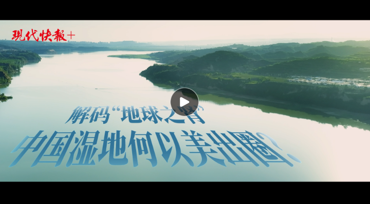 疫情之下，全球生命的沉重代价