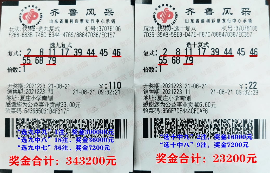 澳门码今晚开奖揭秘，理性看待彩票，享受生活乐趣的智慧之道澳门码今晚开什么特马199