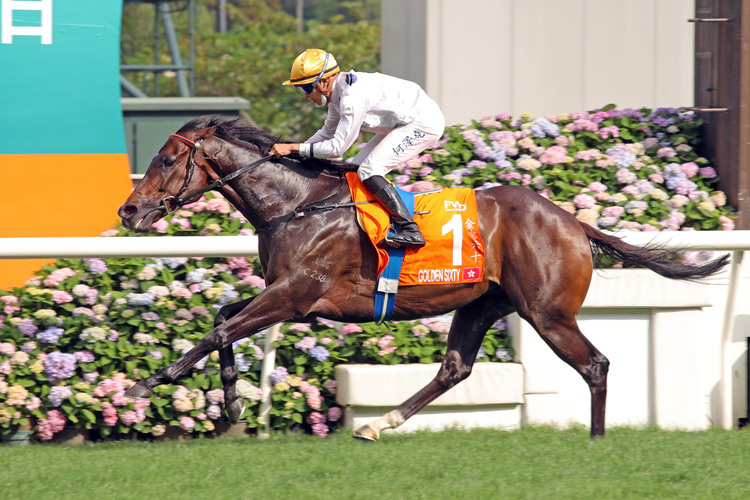 探索香港马会全年资料大全，赛马的辉煌与文化传承香港2021年马会资料大全