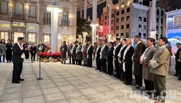 莅临中心，新奥门319项目在20世纪末的非凡之旅新澳门欢迎莅临