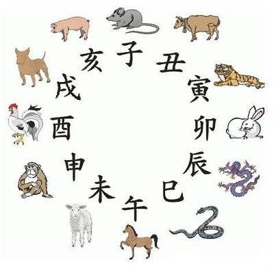探索新奥门六彩生肖卡，解锁娱乐与幸运的秘密澳门生肖卡图片