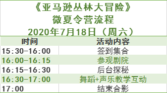 探索新奥门开奖走势图，数据背后的奥秘与预测艺术新澳门开奖结果2020+开奖记录_