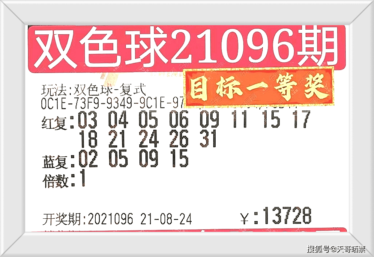揭秘新奥门今晚开奖结果，346期最新中彩号码全解析澳门开奖4238开奖记录