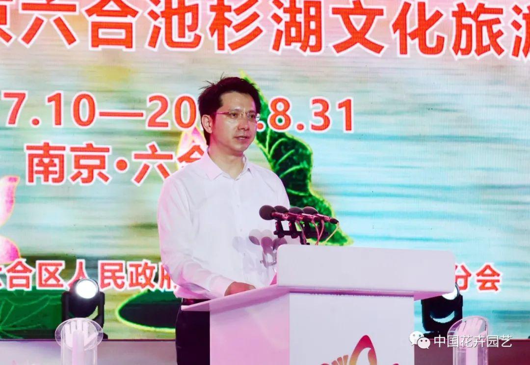 揭秘新奥门六和开奖，数据汇总与趋势分析澳门6合和彩开奖记录