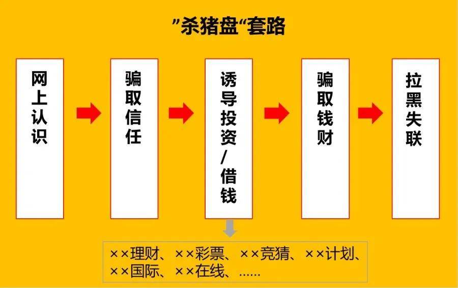 揭秘新奥门六彩，深度剖析杀猪技巧的背后逻辑澳门六令采