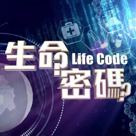 探索新奥门开奖直播的神秘时刻，揭秘时间与乐趣新澳门开奖直播