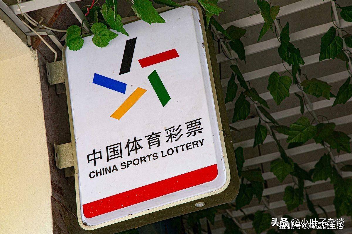 新奥门今晚开奖结果查询的困惑与解析奥门今天开彩结果查询
