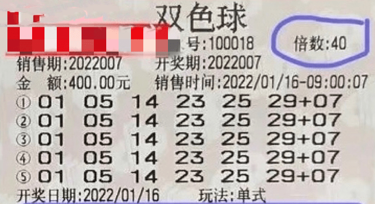 探索新奥门今晚开奖结果，最新汇总与查询指南新奥门今晚开奖结果查询表格最新汇总