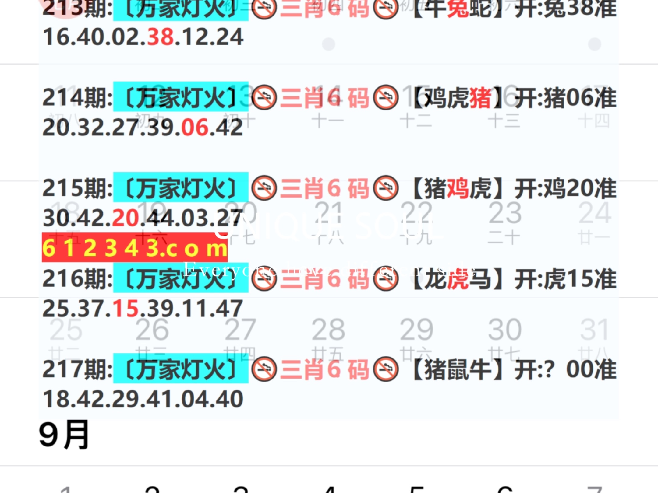 新奥门311期最新消息视频