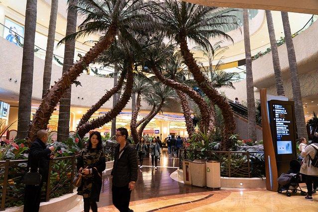新奥门开奖结果查询今天开奖号码是多少啊